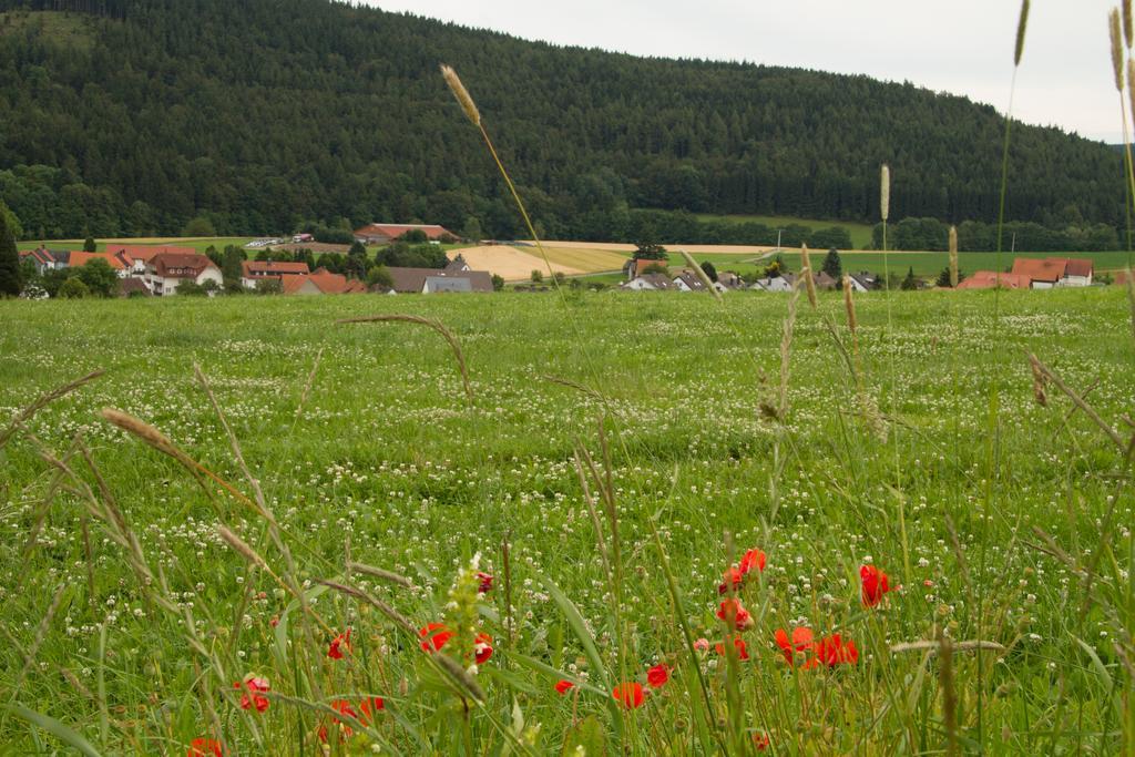 Fewo Alte Schule Willingen  Buitenkant foto