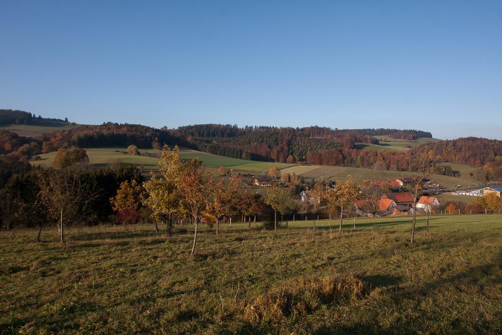 Fewo Alte Schule Willingen  Buitenkant foto