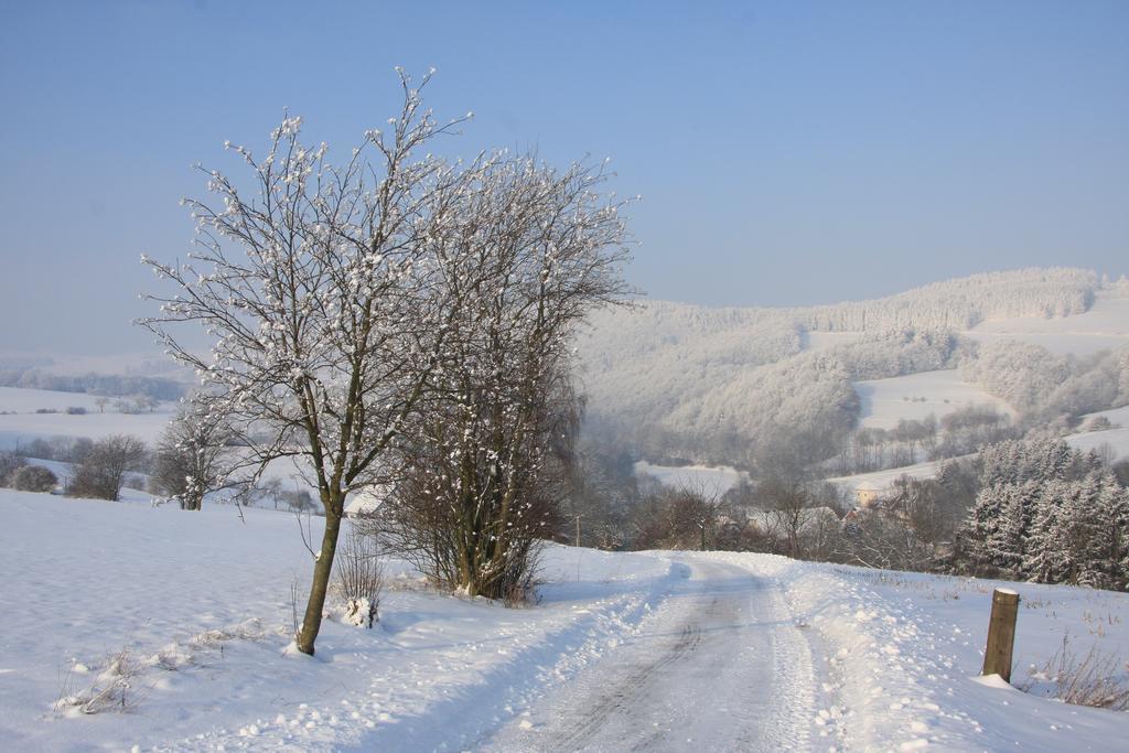 Fewo Alte Schule Willingen  Buitenkant foto