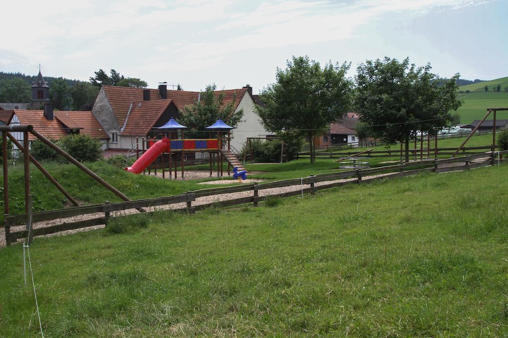 Fewo Alte Schule Willingen  Buitenkant foto